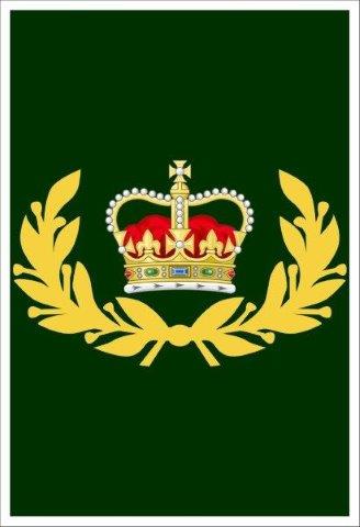 Canadian Army Master Warrant Officer Decal