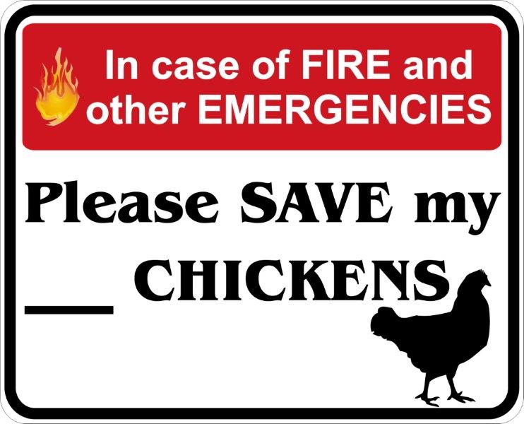 In Case of Fire, Save My Chickens Decal
