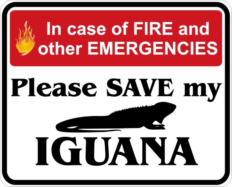 In Case of Fire, Save My Iguana Decal