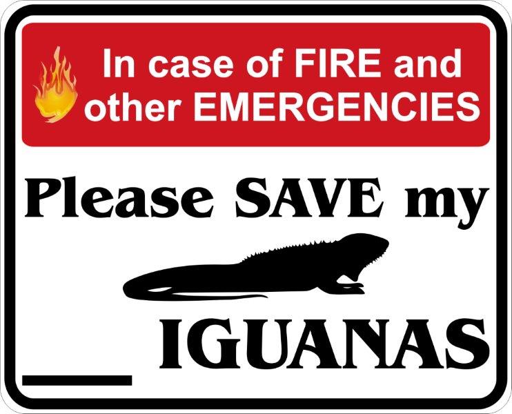 In Case of Fire, Save My Iguanas Decal