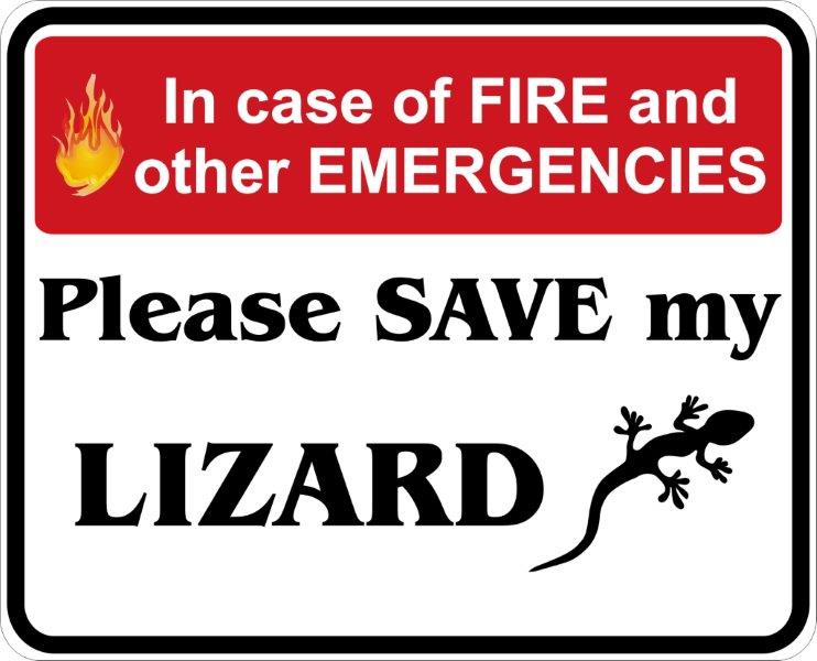 In Case of Fire, Save My Lizard  Decal