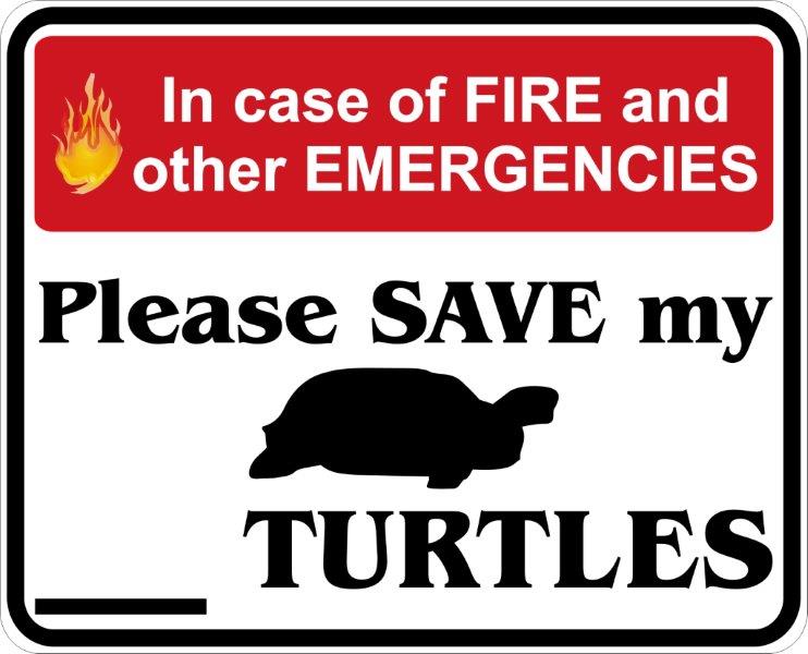 In Case of Fire, Save My Turtles Decal