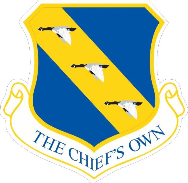 11th Wing Decal